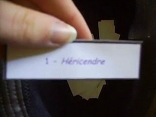 Tirage au sort Poke forum