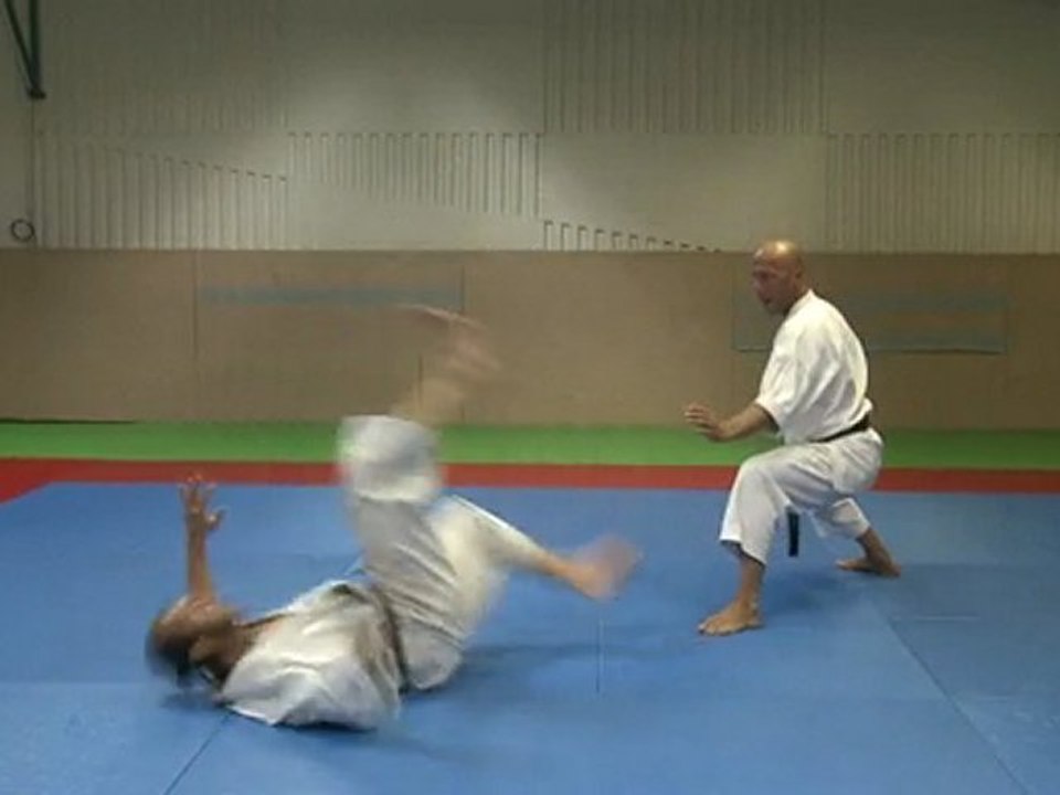 karate shotokan