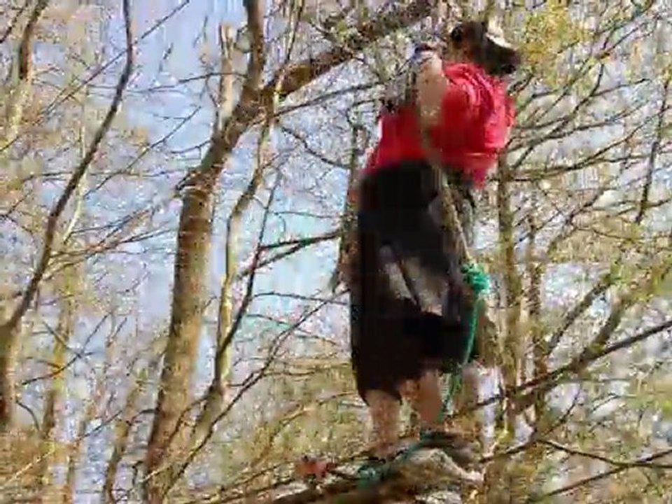 PARC AVENTURE, mais alors quel aventure!!!!!