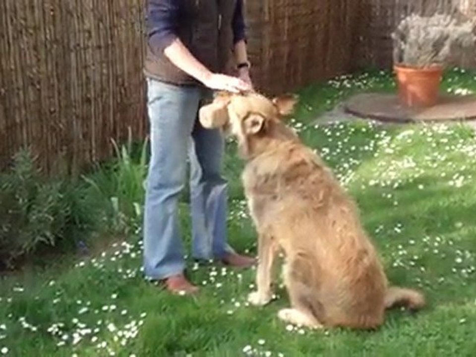 Vulcain rapport d'objet