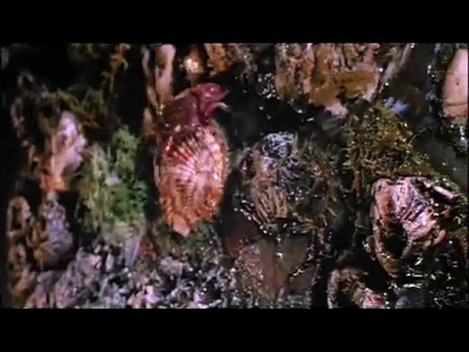 Cocoon (Teaser Trailer)
