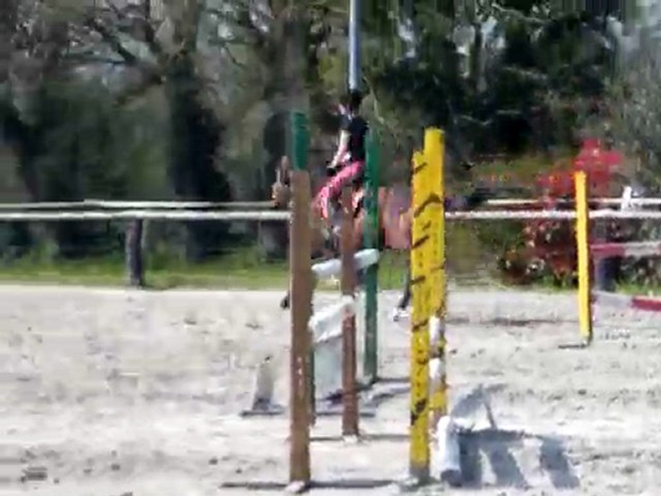 2ème tour du premier concours de Gwen ( 80-90cm )