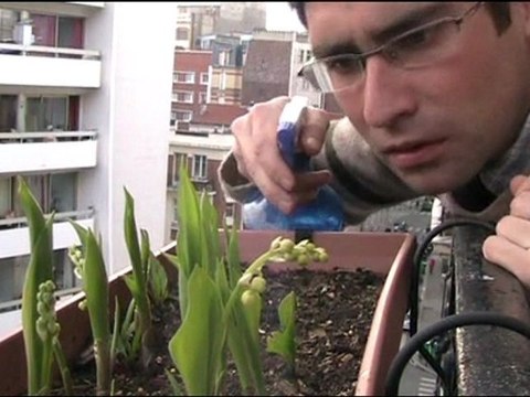 La Chronique Des Gens Bizarres 10 Regis