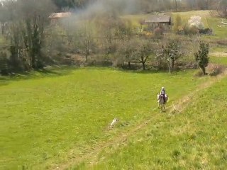 albens 2010 galop