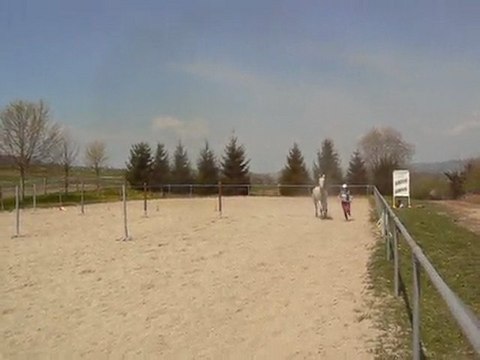 albens 2010 trotting final