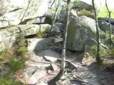 Ballade en Forêt de Fontainebleau - Gorges d'Apremont