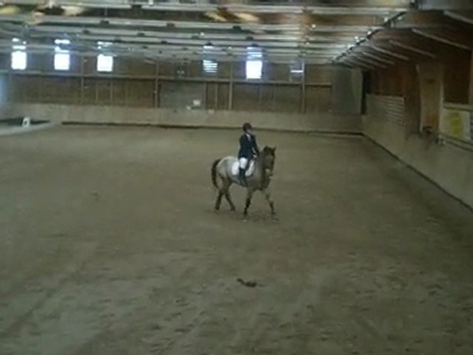 dressage de la WANTZENAU le 18/04/2010 video 2