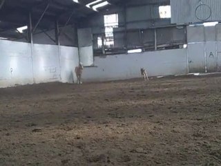 15 éme jour de vie de spirit