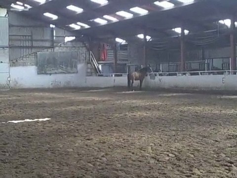 journée detente pour balou vu le concours