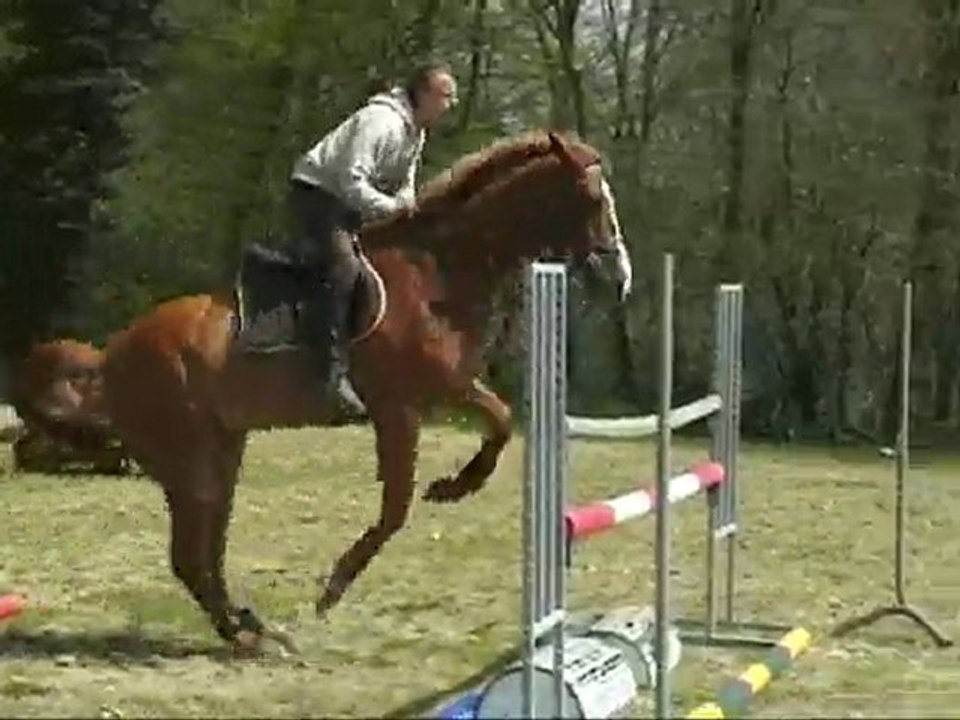 Flink Fopje avril 2010 cavalettis