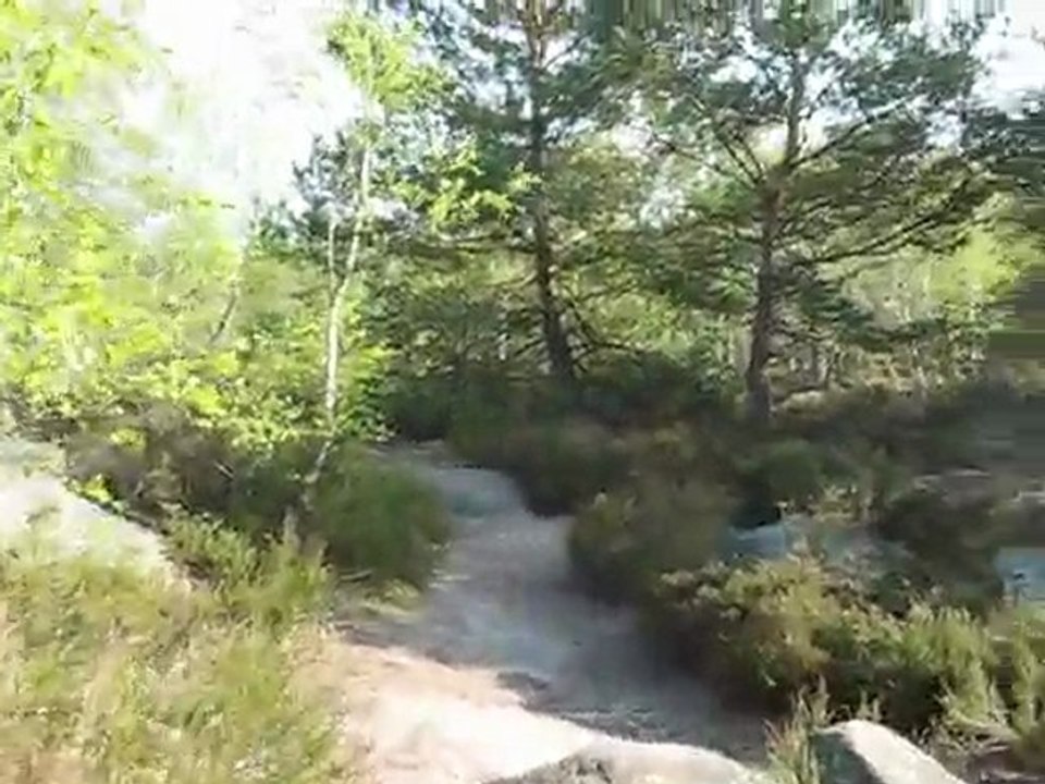 Ballade en Forêt de Fontainebleau - Gorges d'Apremont vol 2