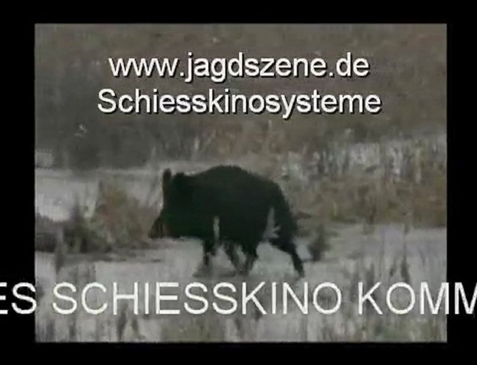 Wildschweinjagd im schiesskino