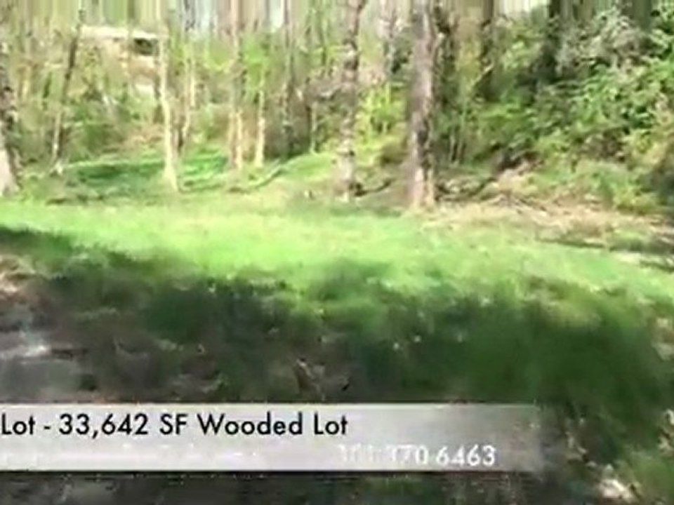 bethesda new house renovations, new contractors, new design