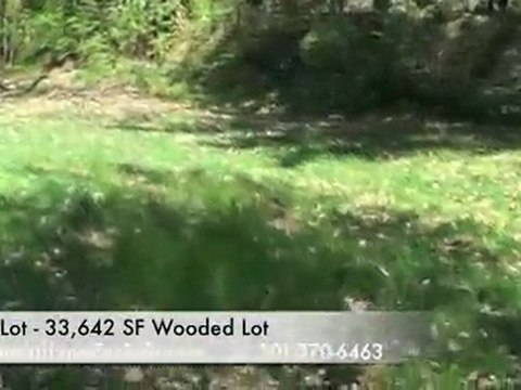 Bethesda New home for sale on 33000 sf wooded lot $1,695,00