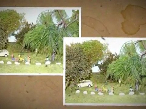 exposition de printemps 2010