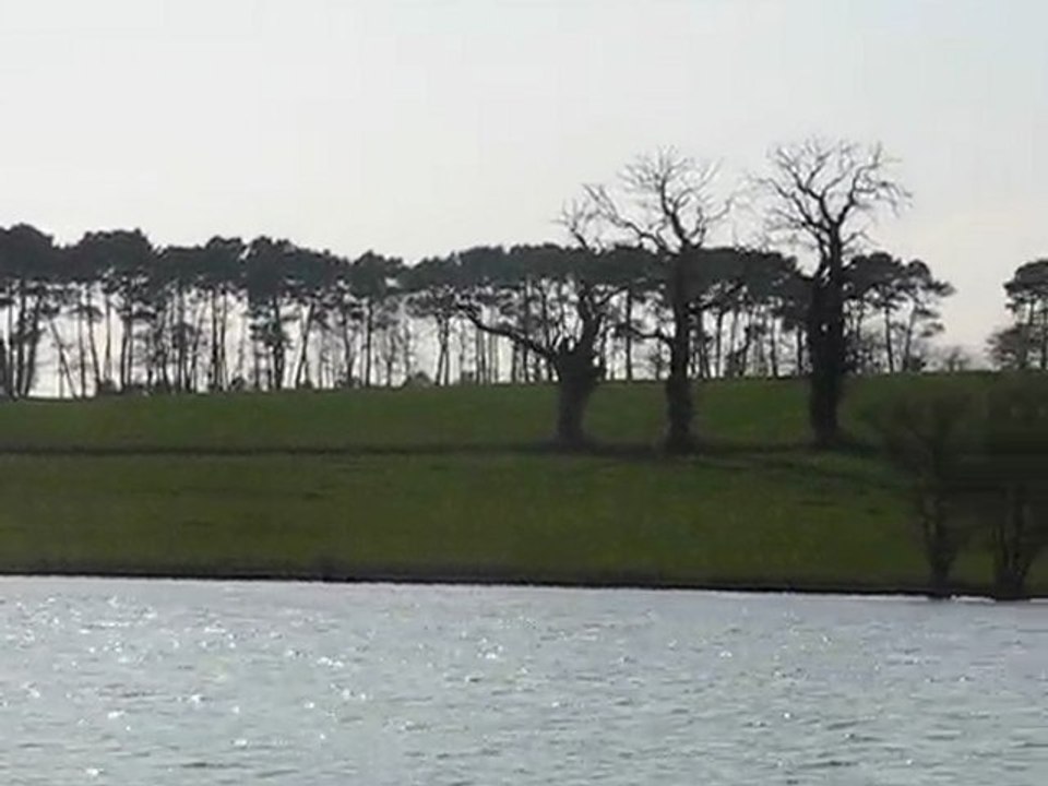 Sur l'Erdre : arbres
