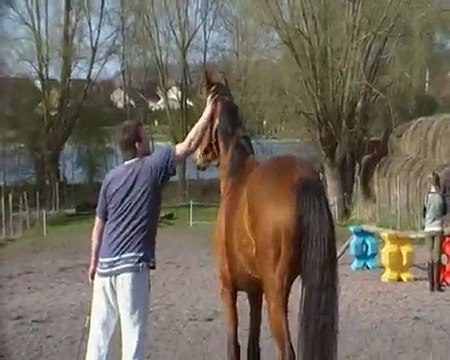 Tamise du dojo - Avril 2010 - 1er saut en liberté 2010