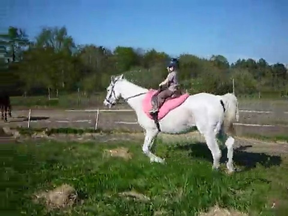 angel et Sirocco - trot assis