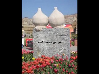 Yedikule Soğanlı Bitkiler Parkı 2007