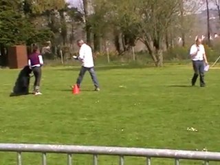 CLUB CANIN DE L IROISE