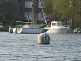 Sucé sur Erdre : envol héron