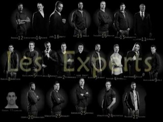 Les Experts du handball