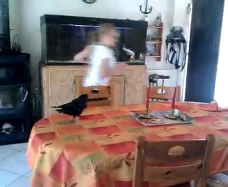 video-2010-04-19-12-04-13