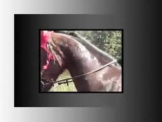 Samuelle Ducrocq Henry et Morgan - promenade à Mascouche