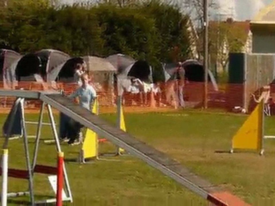 Vixie Agility Thionville GPF 18/04/2010