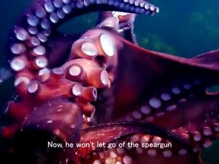 Une pieuvre vole la caméra d'un plongeur