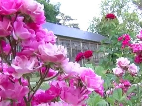 Domaine royal de Randan, promenade au jardin