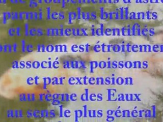 Les écailles de l'âme