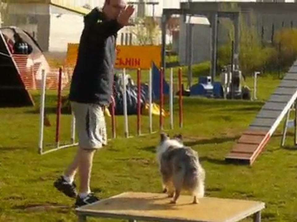 Bianca  Agility Thionville Open 18/04/2010