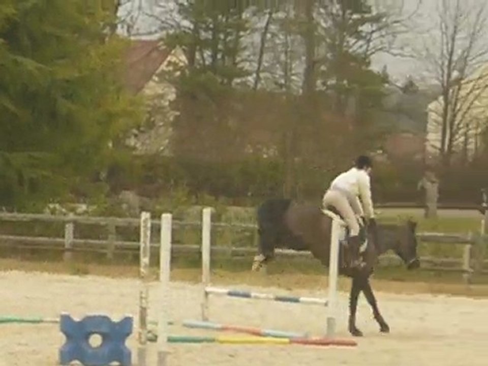 MANDOLINE MARS 2010 : OBSTACLE LIGNE CROIX VERTICAL