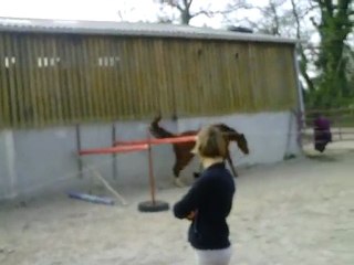 ECURIE DU NEVEZ SIRENE