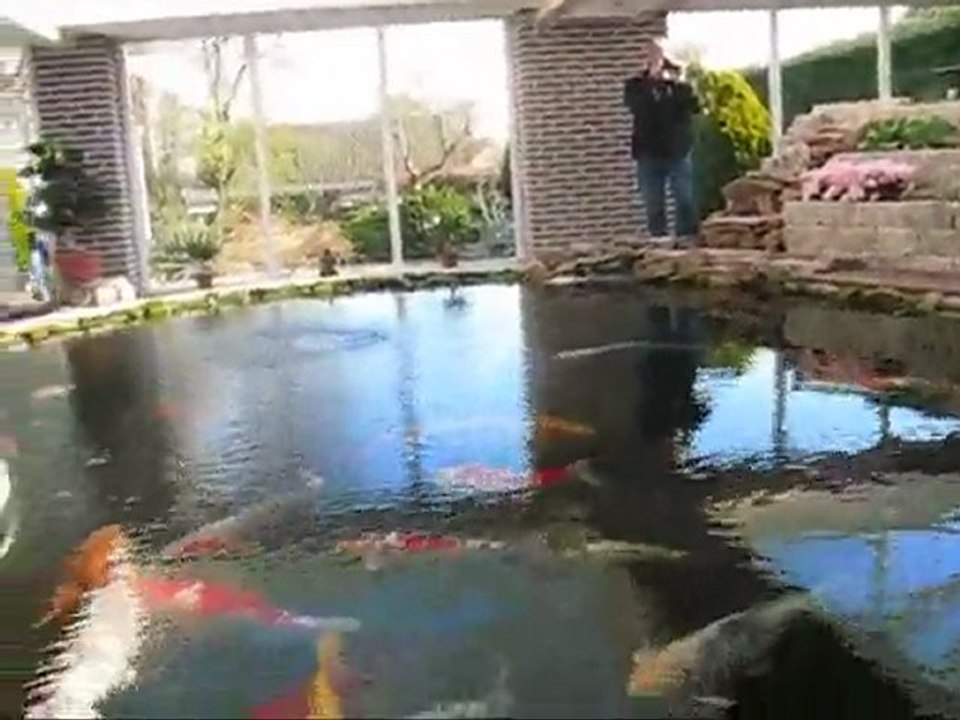 Janp KOI vijver