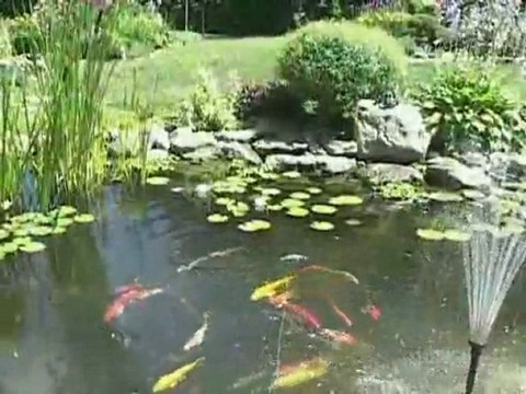 Preparing Your Water Garden Pond For Spring | Pondliner.com