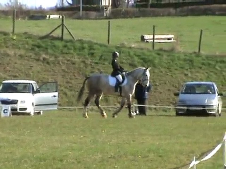 dressage cce felletin