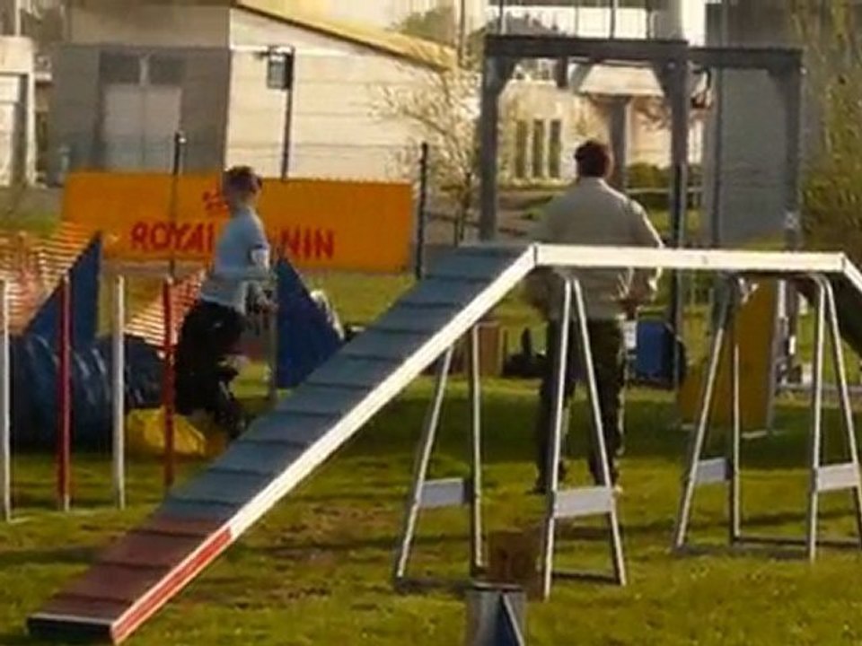 Vixie  Agility Open Thionville 18/04/2010