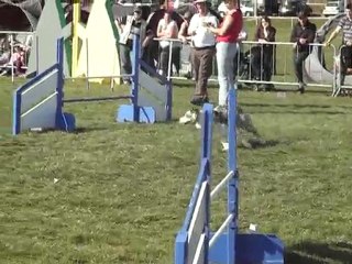 jump swanny rodez