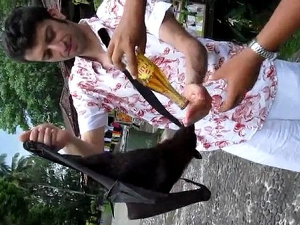 Tranches de vies à Bali