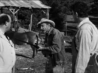 No Time for Sergeants – Draft Dodger