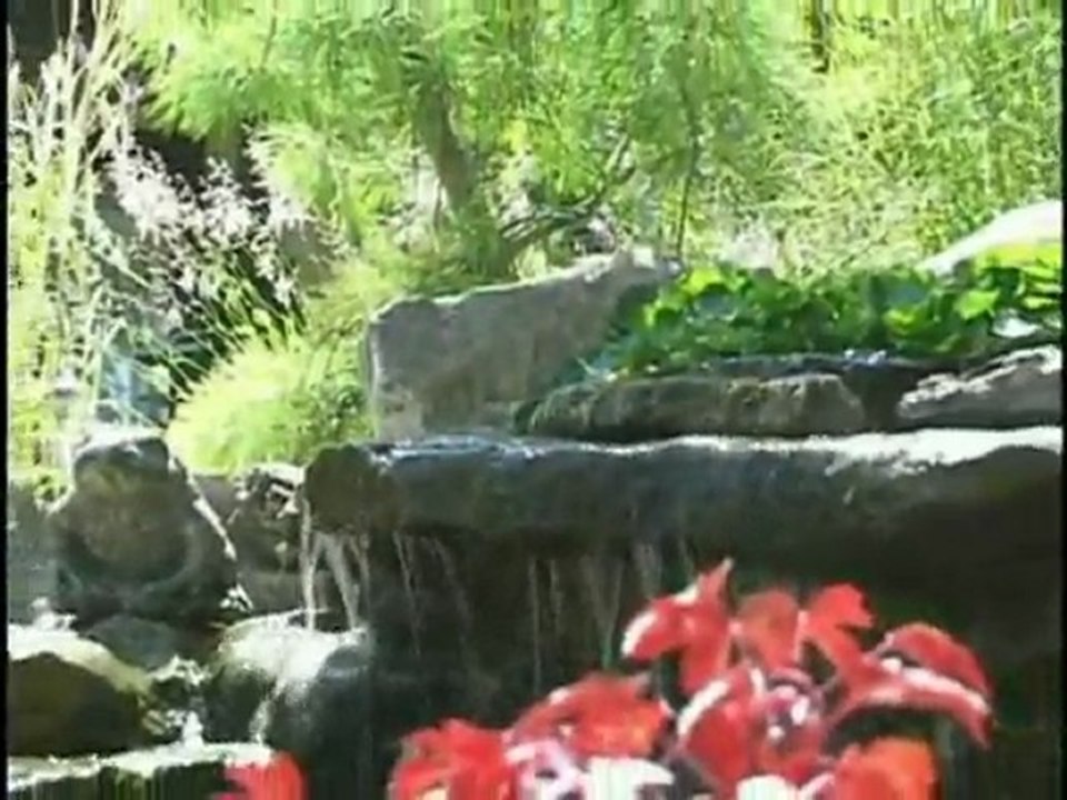 Pond Filtration | Pondliner.com