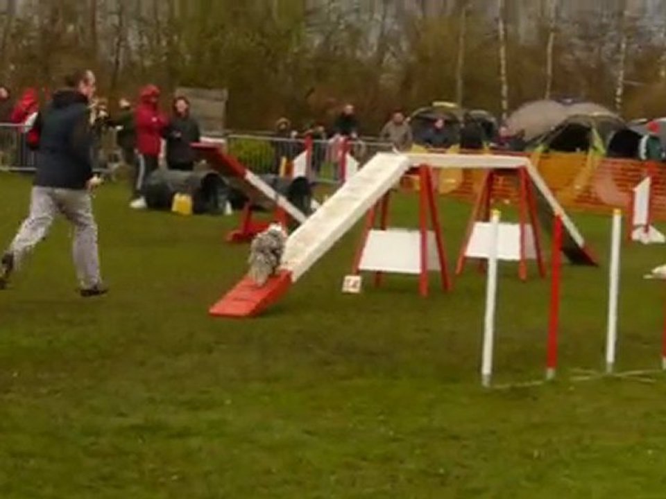 Bianca agility gpf montigny 11/04/2010