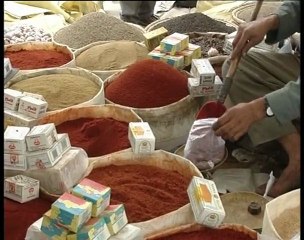 2004 Carnet de route marocain * Trigone Production