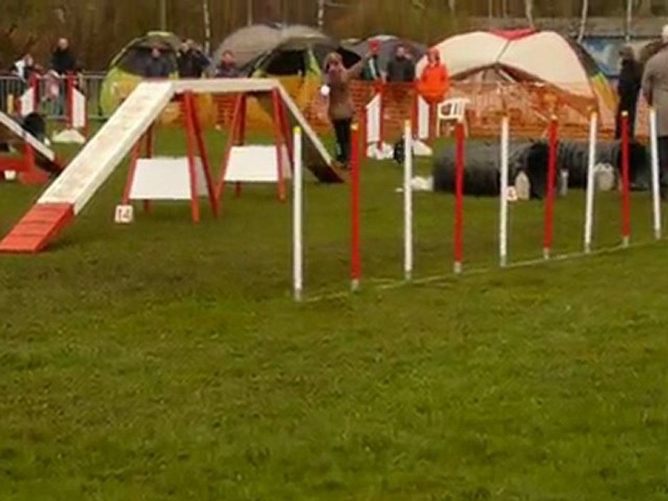 Vixie agility gpf montigny  11/04/2010