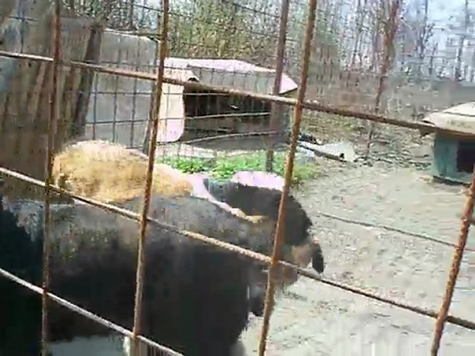CIMG0262