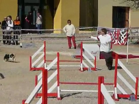 Silver - Jumping La Bouilladisse