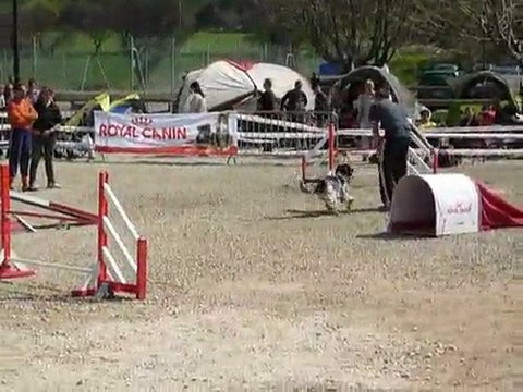 Brownie - GPF La Bouilladisse