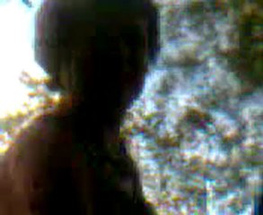 Video029